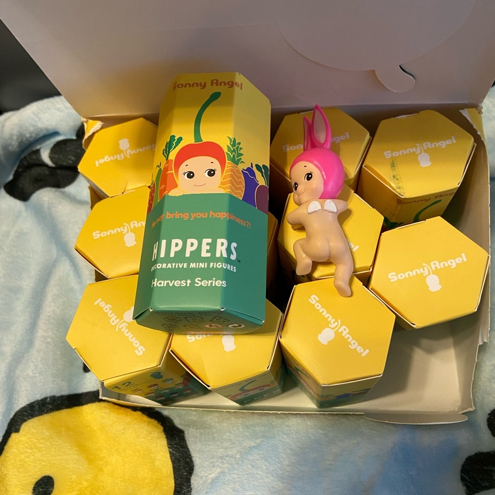 SOLD OUT!!!! Sonny Angels Hippers Fruit/Harvest Series Blind Box